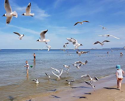 Strand, Seeheilbad Ahlbeck